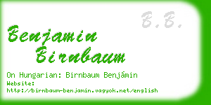 benjamin birnbaum business card
