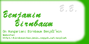 benjamin birnbaum business card